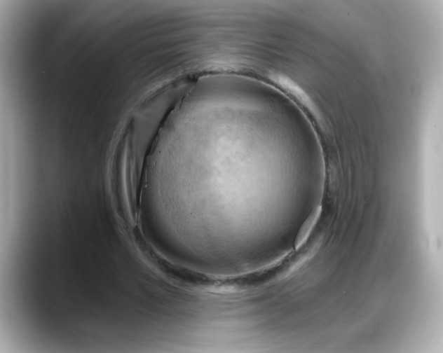 X0000088380581200706051101