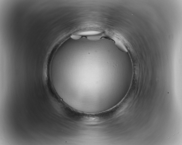 X0000088380582200706051101