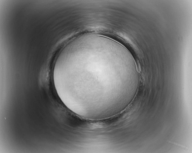 X0000088380583200706051101