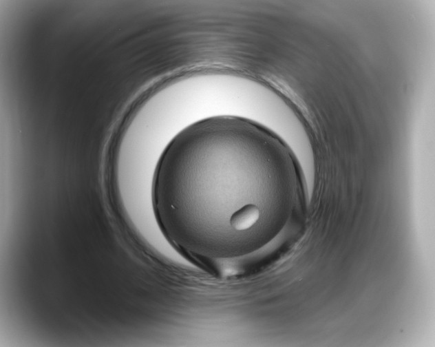 X0000088380584200706051101