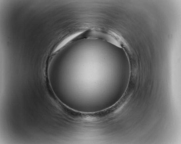 X0000088380585200706051101