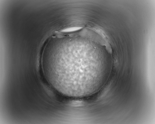 X0000088380586200706051101