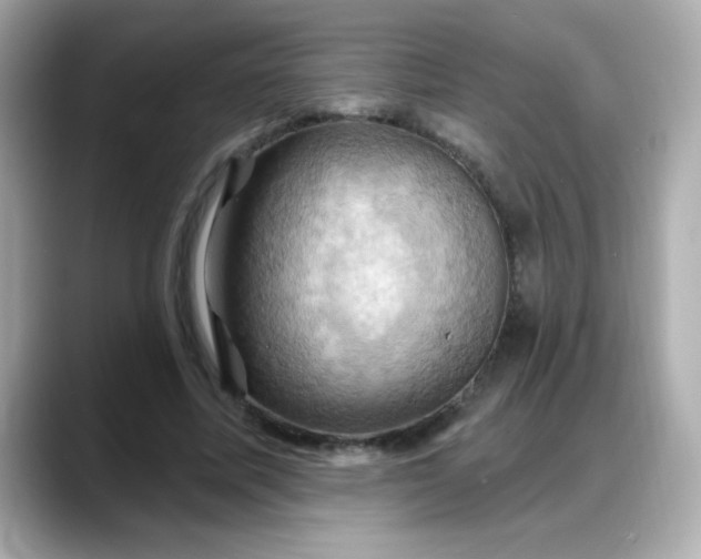 X0000088380587200706051101