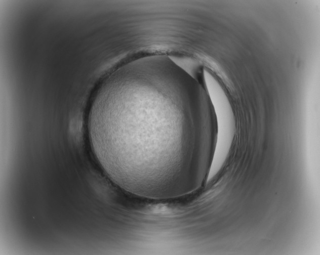 X0000088380588200706051101