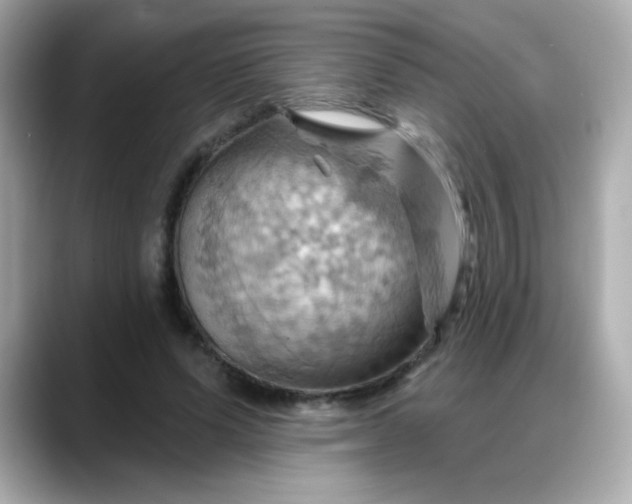 X0000088380591200706051101