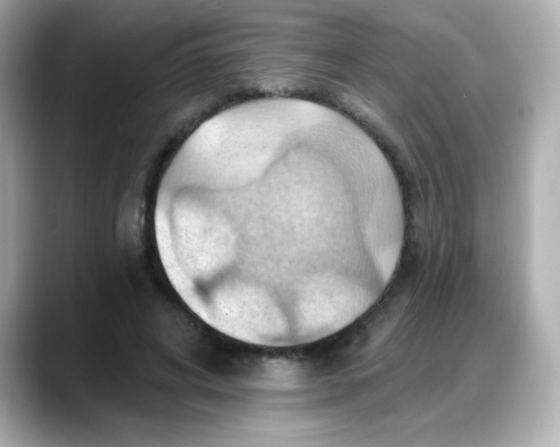 X0000088380592200706051101