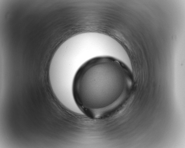 X0000088380593200706051101