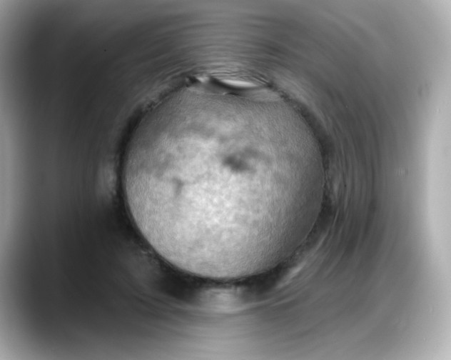 X0000088380595200706051101
