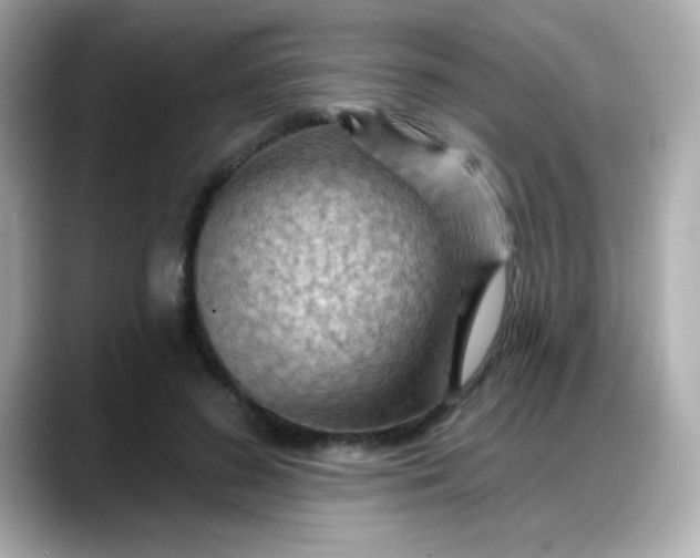 X0000088380596200706051101
