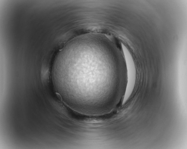 X0000088380597200706051101
