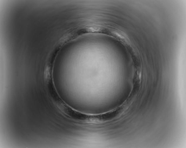 X0000088380598200706051101
