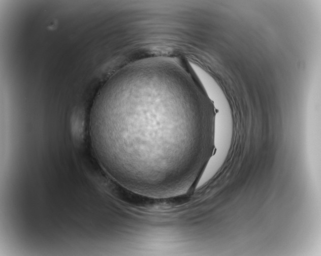 X0000088380600200706051101