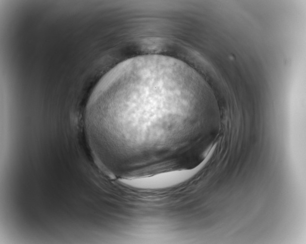 X0000088380601200706051101