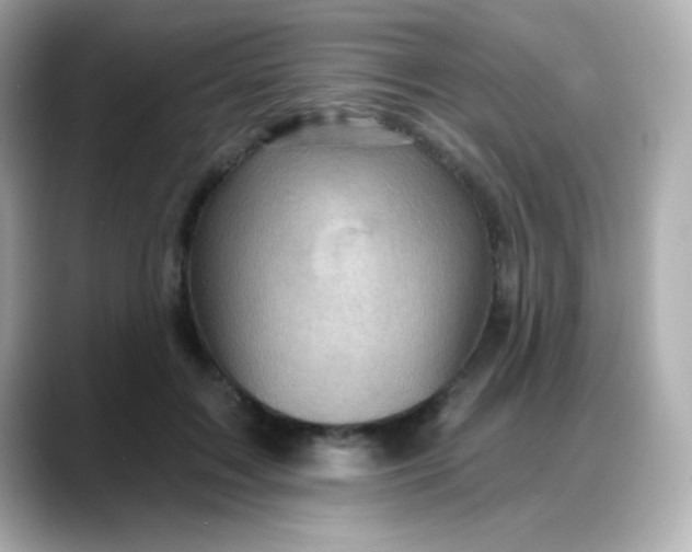 X0000088380603200706051101