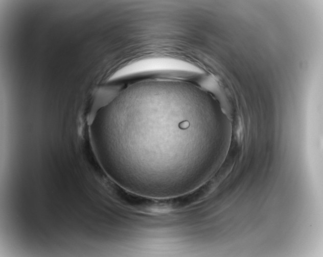X0000088380604200706051101