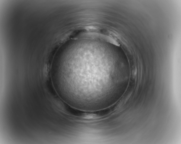 X0000088380605200706051101