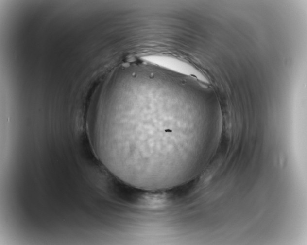 X0000088380606200706051101
