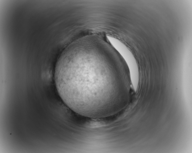 X0000088380608200706051101
