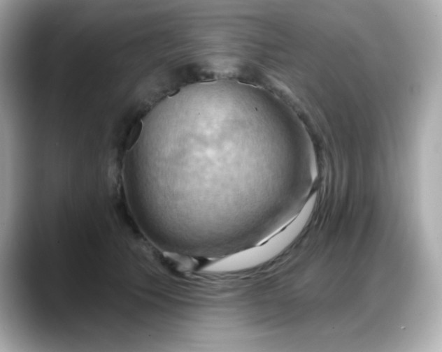 X0000088380609200706051101