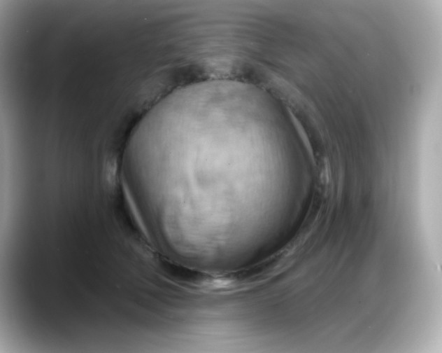 X0000088380610200706051101
