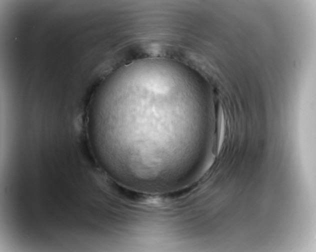 X0000088380611200706051101