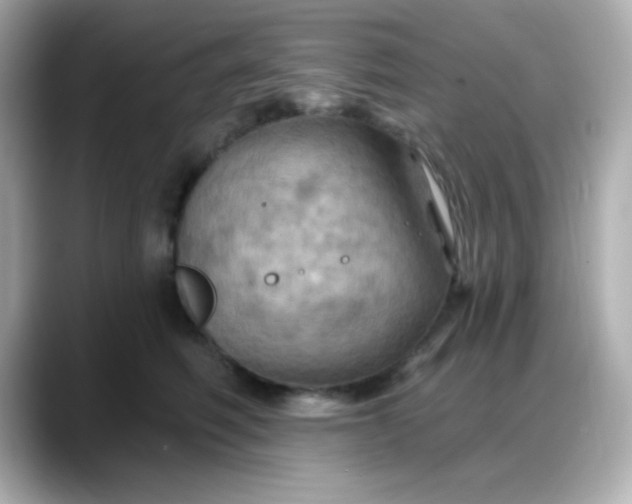 X0000088380614200706051101