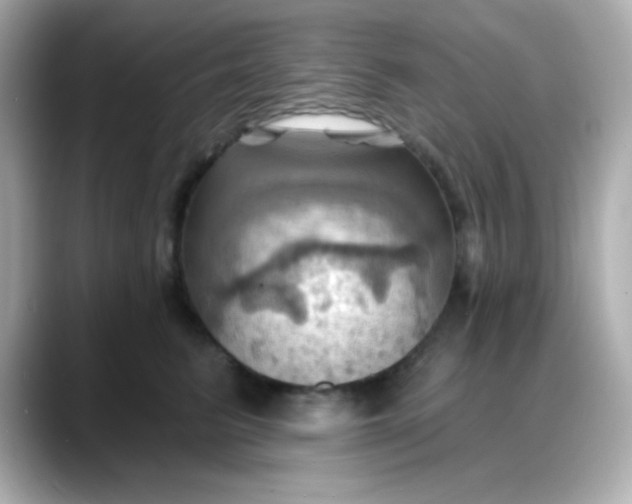 X0000088380615200706051101