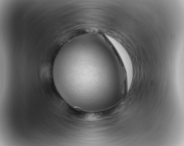 X0000088380616200706051101