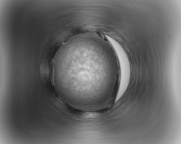 X0000088380617200706051101