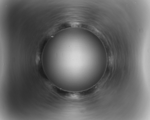 X0000088380618200706051100