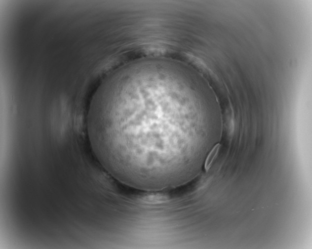 X0000088380619200706051100