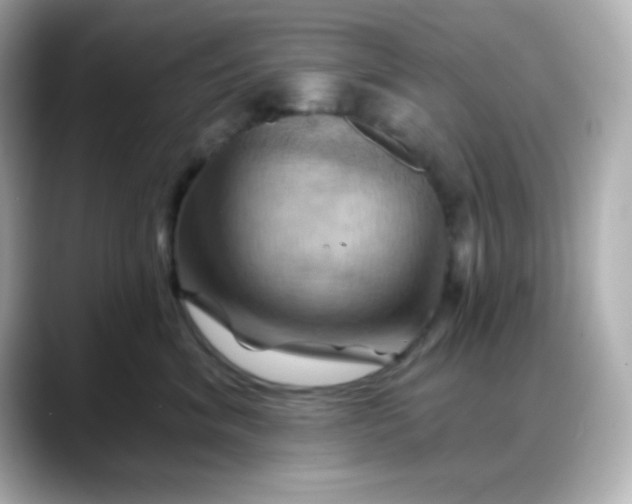 X0000088380620200706051100