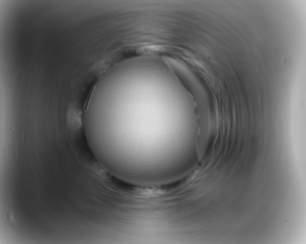X0000088380621200706051100