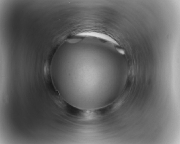 X0000088380623200706051100