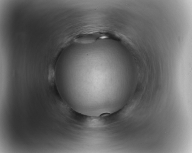 X0000088380624200706051100