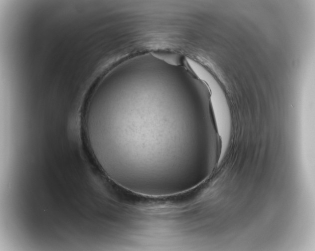 X0000088380626200706051100