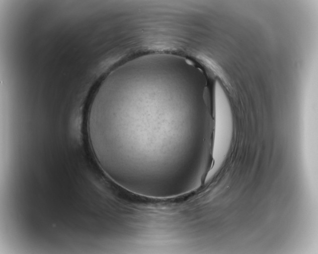 X0000088380627200706051100