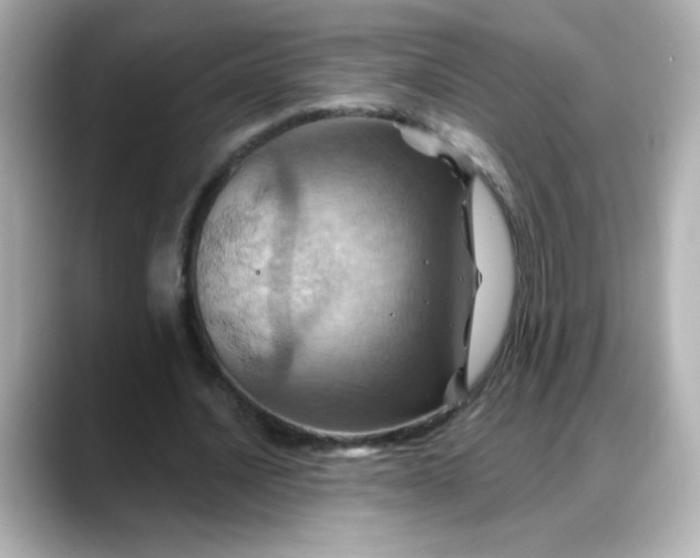 X0000088380628200706051100