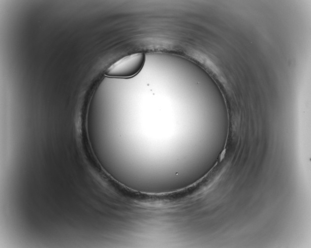 X0000088380629200706051100