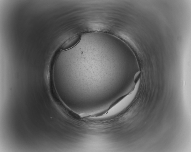X0000088380630200706051100