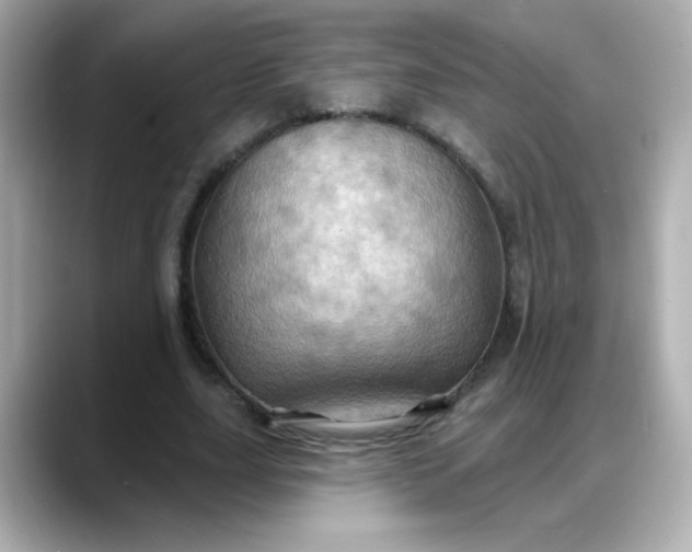 X0000088380631200706051100