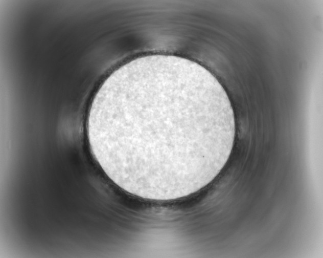 X0000088380632200706051100