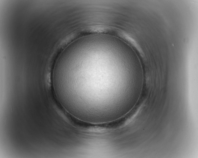 X0000088380633200706051100