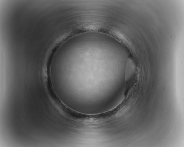 X0000088380634200706051100
