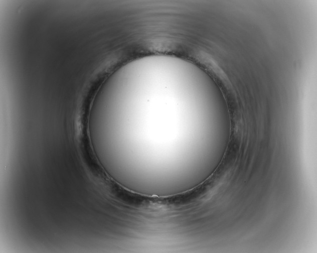 X0000088380635200706051100