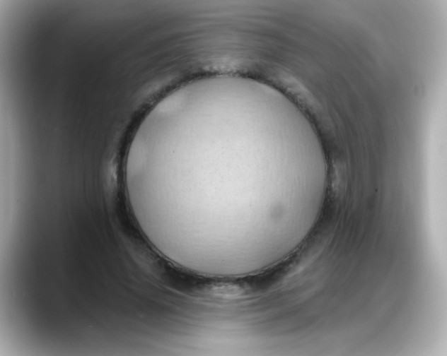 X0000088380636200706051100