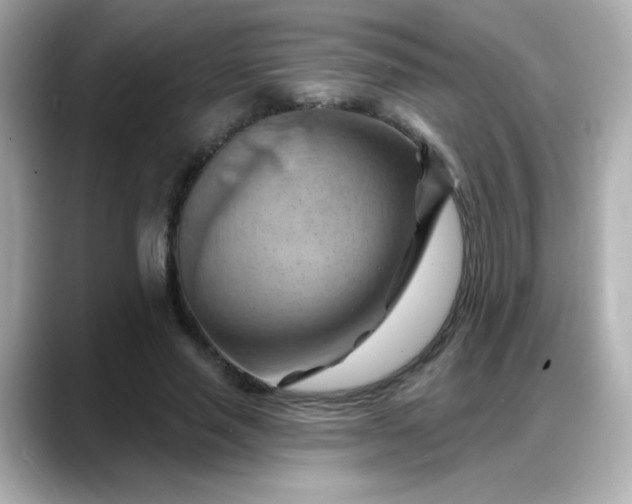 X0000088380637200706051100