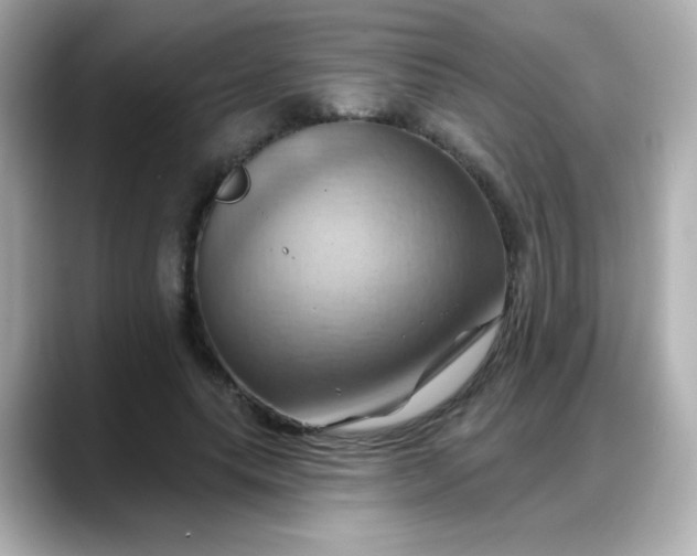X0000088380639200706051100