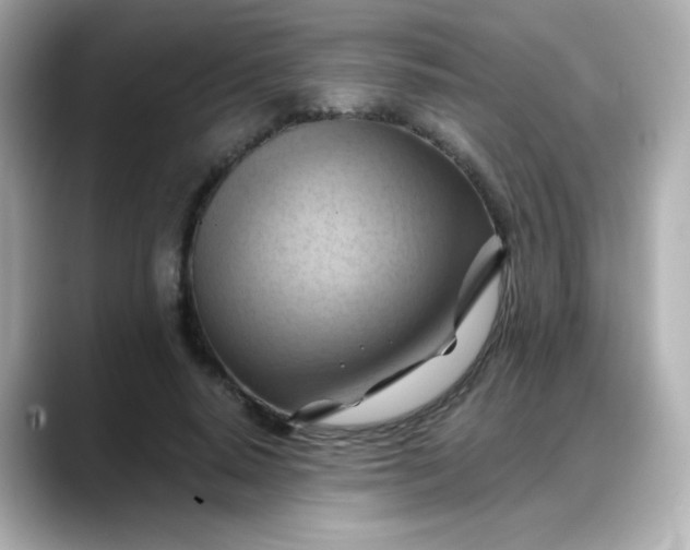 X0000088380640200706051100
