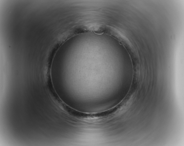 X0000088380641200706051100